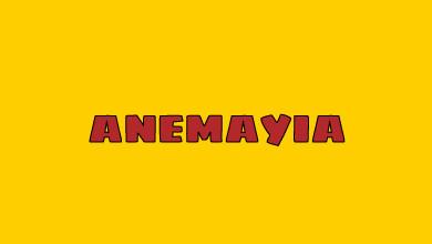 Anemayia Car & Motorbike Rental Logo