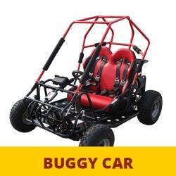 Anemayia Buggy Rental Center